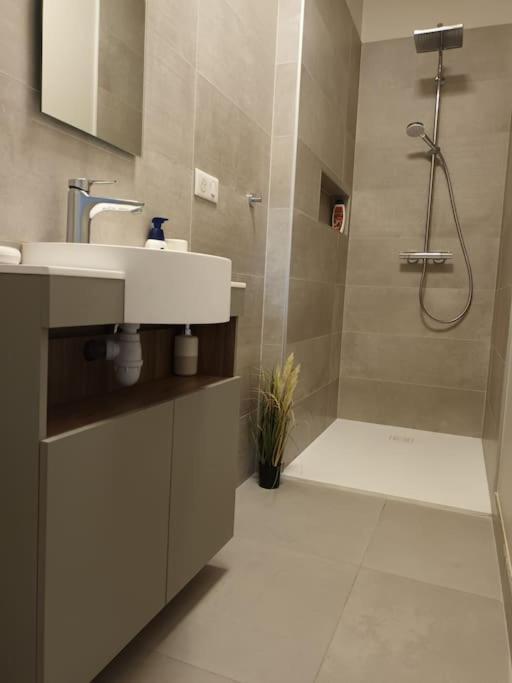Castel De Satoya Apartment Belfort Ngoại thất bức ảnh